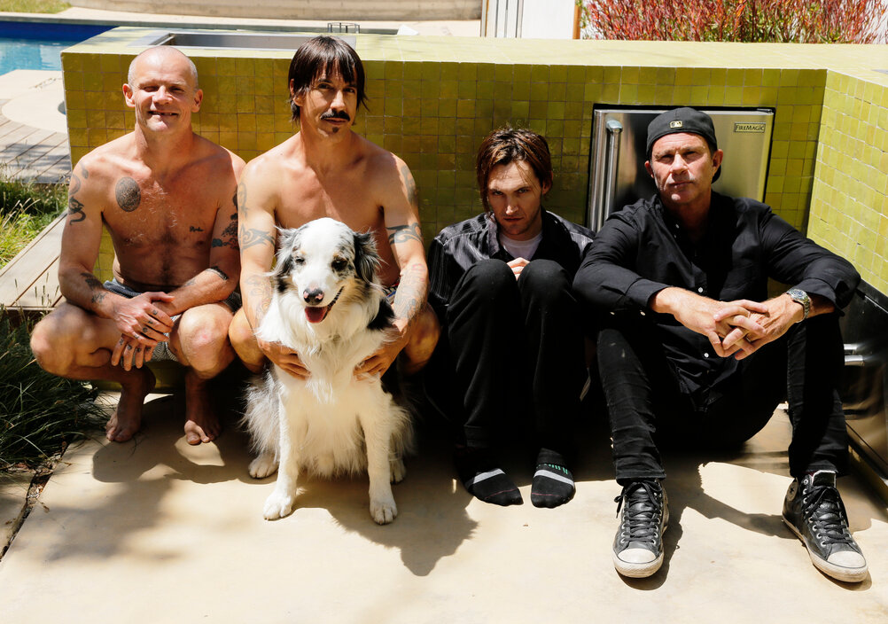News-Titelbild - Chili Peppers, Brandi Carlile und weitere als Live-Acts für die Grammy Awards bestätigt