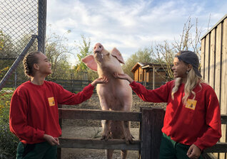 News-Titelbild - Ungewohnter Arbeitseinsatz: Lisa & Lena hospitieren in Europas größtem Tierheim