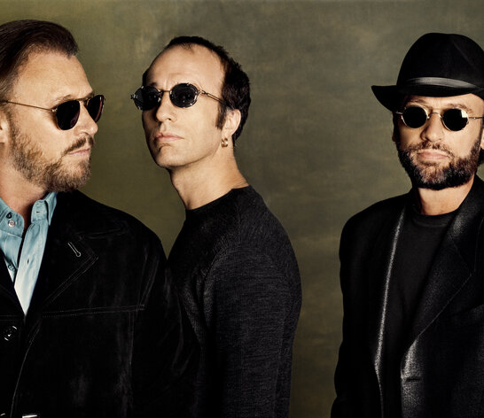 Bild von Bee Gees
