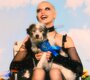 News-Titelbild - Im Musikvideo zu "nice pup" rollen, tapsen und hecheln über fünfzig Vierbeiner durchs Bild