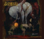 News-Titelbild - Neu am 24. Mai: Fleshgod Apocalypse, Raphaël Marionneau, Bausa, Laruzo und vieles mehr