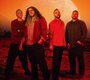 News-Titelbild - Deutschlandtour mit dem neuen Album im Herbst