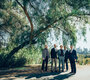 News-Titelbild - Die Punch Brothers bringen mit "Any Old Time" Saloon-Atmosphäre zu Stephen Colbert