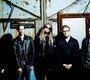 News-Titelbild - Hört das neue Album im Stream und seht die Video-Premiere "Run With The Rhythm"