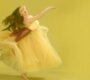 News-Titelbild - Mit dem farbenfrohen Musikvideo zu "I Heart You" lässt uns Baby Ariel in ihren Kopf blicken