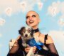 News-Titelbild - Im April kommt die neue EP "puppy luv" – und vorab singt chloe moriondo ein Liebeslied für ihren Hund